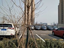 四季怡园北区3室1厅南西