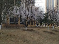 金泰丽湾三区一居室有钥匙房源出售