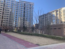 杨家园小区 3室1厅 南 北