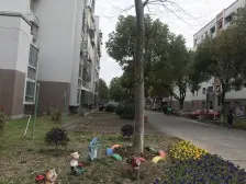 丽泽兰馨苑 2室1厅 南 北