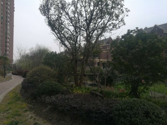 西上海君廷