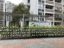 丽泽菊清苑 3室2厅 南