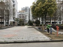 丽泽菊清苑 3室1厅 南