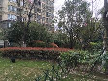 明珠广场 正大广场 欧风街 华地润园 次新小区 采光好