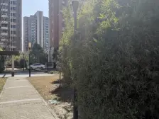 好房必卖,必卖好房,同业勿扰,南北通,看房基本随时