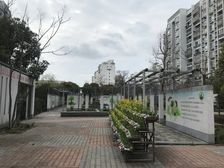 临港新片+双轨交+三房一卫+中芯国际+诚意出售+低总价
