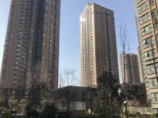 亚星盛世星苑 3室1厅 东南