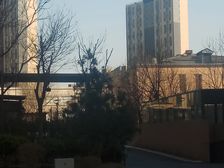 长阳·合景领峰南区·5室·2厅