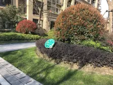 泗泾花园洋房南北通80平入户花园,刷卡人车分流