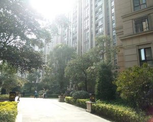 乌龙江大区3室2厅东