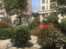 大虹桥 经典小洋房 总价低 有钥匙 随时可看