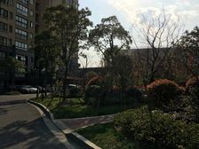 闵行新上边套大三房城开珑庭,16年次新