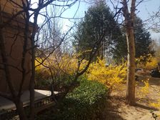邑上公馆六层电梯洋房近地铁广阳城站