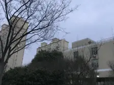 电梯房 产权清晰,无抵押 新上房源