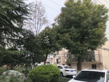 两房朝南 采光通风好 带一个小阁楼 视野开阔看房方便