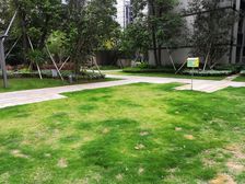 小区中间位置 朝南向 好楼层 看中价格可谈 有钥匙空置