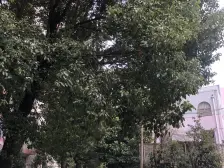 明阳公寓 3室2厅 南