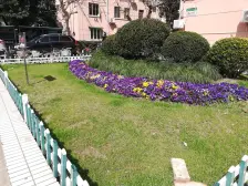 **·化工一、四村·2室·1厅