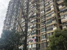 2019年次新小区,总高6楼带电梯,车位宽松,大面积健身公园