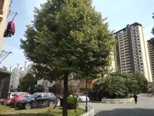 一梯两户,主卧朝南,交通便利,近商圈