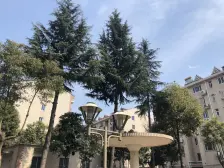 黄金楼层+人气地段+安小+震川+安亭老街+烟火气十足