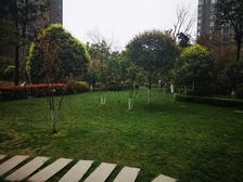 金辉悦府 2室1厅 东北