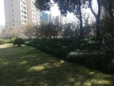 18年次新房+地铁1/12号+日月光+望德+师三+高区带车位