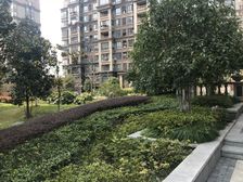 15号线望园路轨交+恒崇高区+上海之鱼虹梅高架+S4