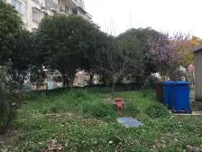 唐镇·地纬家园·1室·1厅