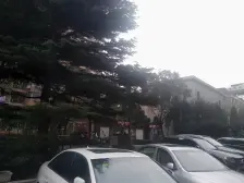 满五年,双南,中高区,采光充足。