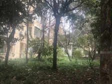 复旦第二宿舍 2室1厅 南