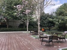 品质小区,环境优美,诚意出售,精装好房