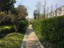 菊园新区·嘉宝梦之湾·1室·2厅
