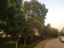 毛坯的,是一手房东,谈价空间大