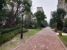 上海之鱼+5号线金海湖站+望园路地铁站+景观房+带车位