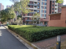 嘉定新城·枫树林景苑-封周路505弄·3室·2厅