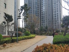 业主诚心出售,满五唯一,中间好楼层!