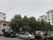 南北通透,环境优美,价格好谈,主卧朝南,一梯两户,近商圈