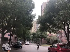 顾村公园 刘行地铁口 龙湖天街 招商TOD 菊泉故里