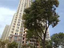 出门就是6.8号线 楼层采光好 房东诚心出售