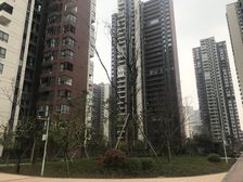 合能珍宝琥珀3期3室1厅西