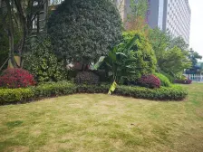 新希望皇冠国际 1室0厅 东