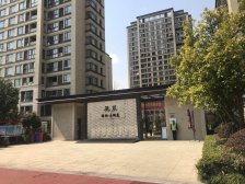 上海之鱼旁,三轨交汇,望园路800米,2016年商品房