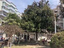 低总价好楼层近地铁配套成熟
