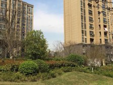 百联商圈+金光路+龙湖天街+南桥车站+望园路