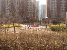 智汇雅苑2室1厅南