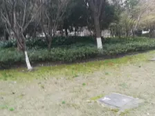 交通便利,近商圈,诚意出售,刚需好房