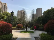 毛坯南北通大三房视野开阔11号线轨交中科院