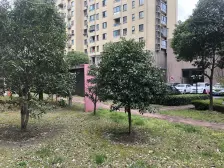 馨佳园(潘广路1765弄) 4室1厅 东