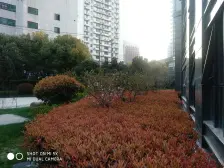 房龄新,内环内滨江板块,车位充足,闹中取静,配套全